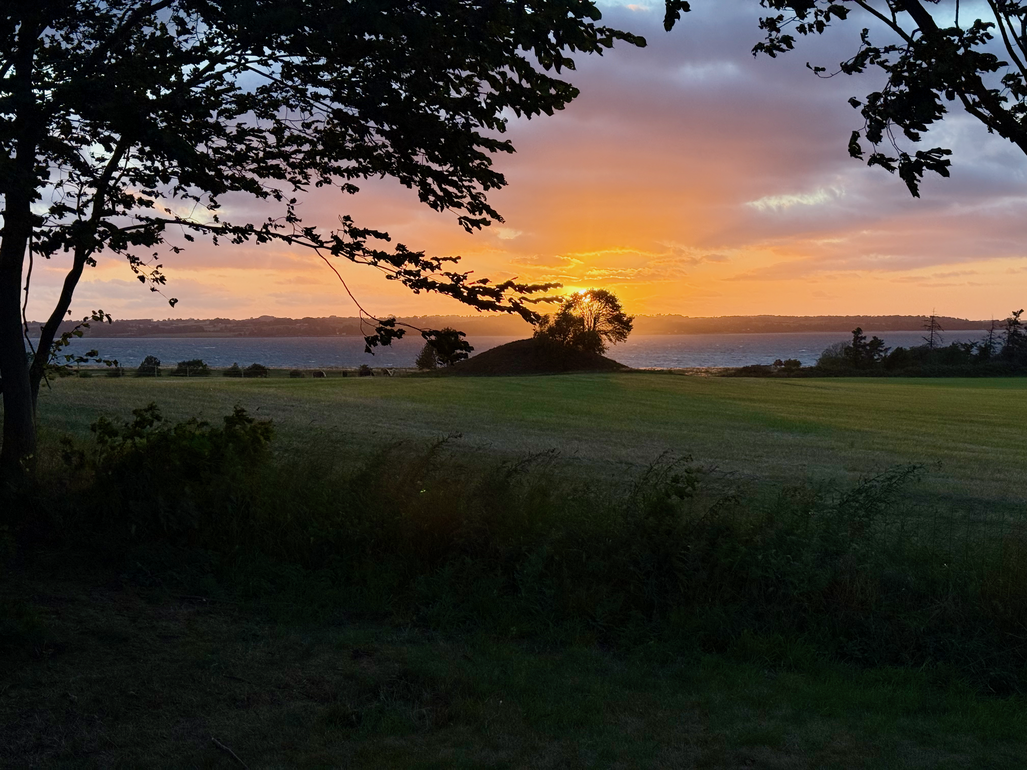 Hestehøj by night